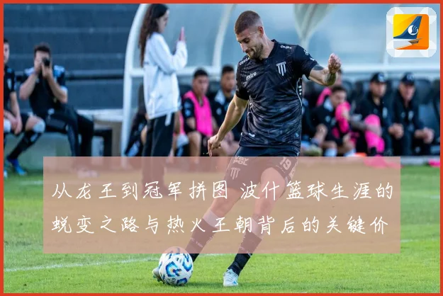 从龙王到冠军拼图 波什篮球生涯的蜕变之路与热火王朝背后的关键价值