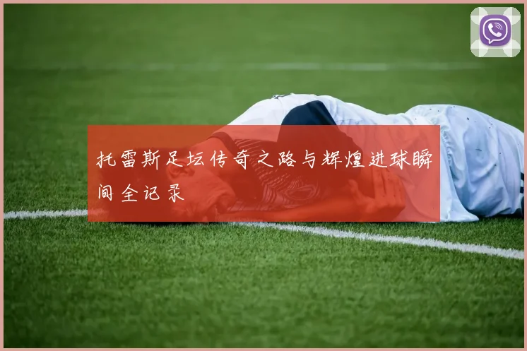 托雷斯足坛传奇之路与辉煌进球瞬间全记录