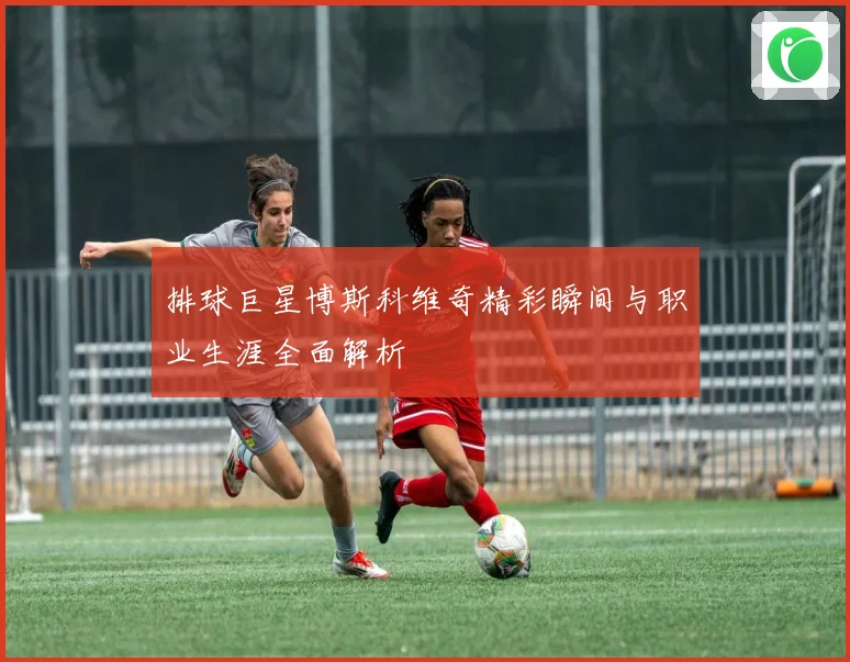 排球巨星博斯科维奇精彩瞬间与职业生涯全面解析