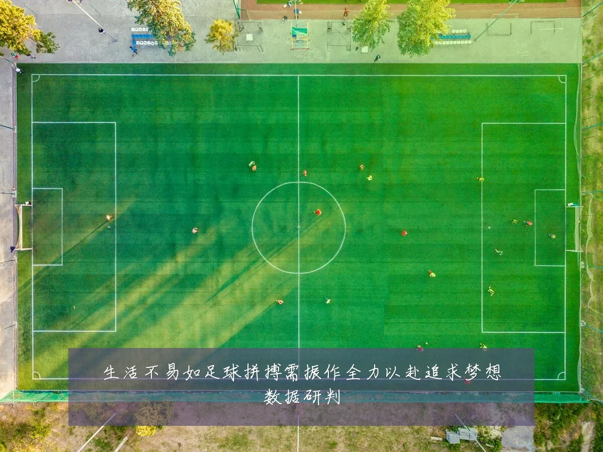 生活不易如足球拼搏需振作全力以赴追求梦想数据研判