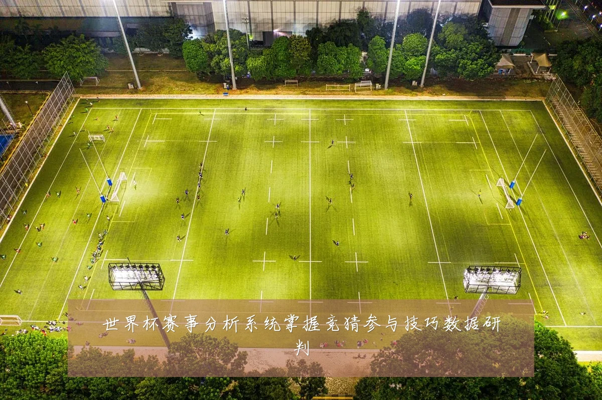 世界杯赛事分析系统掌握竞猜参与技巧数据研判